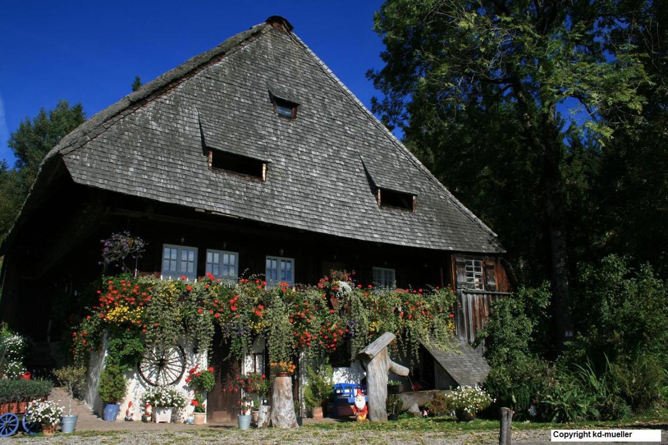 트리베르크 Haus Am Waldrand 빌라 외부 사진